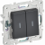 SKANDY Выключатель 2-клавишный проходной с индикацией 10А SK-V10T титан IEK, SK-V22-1-10-K48