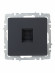 IEK BRITE Розетка компьютерная RJ45 кат.5E РК10-БрГ графит IEK, BR-K10-1-K53