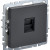 BRITE Розетка компьютерная RJ45 кат.5E РК10-БрГ графит IEK, BR-K10-1-K53
