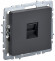 IEK BRITE Розетка компьютерная RJ45 кат.5E РК10-БрГ графит IEK, BR-K10-1-K53