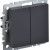 BRITE Выключатель 2-клавишный 10А ВС10-2-0-БрГ графит IEK, BR-V20-0-10-K53