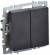 IEK BRITE Выключатель 2-клавишный 10А ВС10-2-0-БрЧ черный , BR-V20-0-10-K02