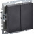 BRITE Выключатель 2-клавишный 10А ВС10-2-0-БрЧ черный IEK, BR-V20-0-10-K02