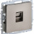BRITE Розетка компьютерная RJ45 кат.5E РК10-БрШ шампань IEK, BR-K10-1-K37