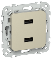 FLITE Розетка USB A+A 3,1А РЮ-2-ФлШ шампань IEK, FI-U21-D31-K37