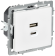 IEK BRITE Розетка USB A+C 45Вт высокоскоростная зарядка РЮ11-2-БрАБ арктический белый IEK, BR-U22-045-K91
