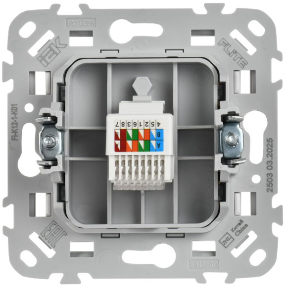 IEK FLITE Розетка компьютерная RJ45 категория 5Е UTP РК5е-1-0-ФлБ белый IEK, FI-K12-1-K01 IEK FLITE Розетка компьютерная RJ45 категория 5Е UTP РК5е-1-0-ФлБ белый IEK, FI-K12-1-K01