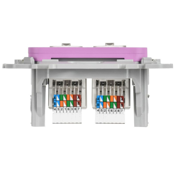 IEK FLITE Розетка 2-местная компьютерная RJ45 категория 5Е UTP РК5е-2-0-ФлПр пурпурный IEK, FI-K22-1-K99