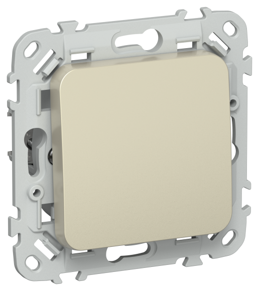 IEK FLITE Выключатель 1-клавишный 2-полюсный 10А ВС6/21-1-2-ФлШ шампань IEK, FI-V10-1-10-1-2-K37
