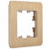 IEK BRITE Рамка 1-местная РУ-1-1-Бр металл шампань RE AL IEK, BR-M12-M-21-K37 IEK BRITE Рамка 1-местная РУ-1-1-Бр металл шампань RE AL IEK, BR-M12-M-21-K37