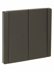 FORTE&PIANO Выключатель 2-клавишный с индикацией 10А FP306 серый , FP-V20-1-10-1-K03