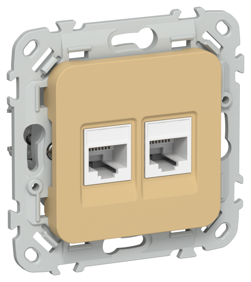 IEK FLITE Розетка 2-местная RJ45/RJ11 категория 5Е/3 UTP РКТ5е/3-2-0-ФлШм шамуа IEK, FI-KT22-1-K89