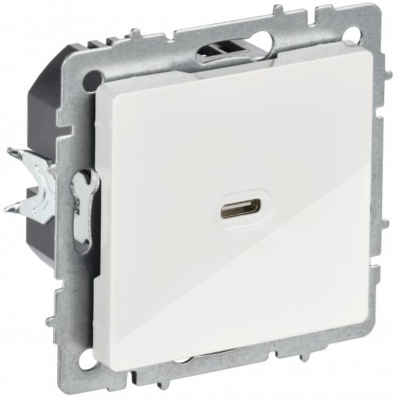 IEK BRITE Розетка USB C 65Вт высокоскоростная зарядка РЮ12-1-БрБ белый IEK, BR-U13-065-K01