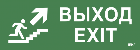 IEK Этикетка самоклеящаяся 280х100мм "Выход/лестница вверх/фигура" IEK, LPC10-1-28-10-VLVVF
