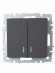 IEK BRITE Выключатель 2-клавишный с индикацией 10А ВС10-2-1-БрГ графит , BR-V20-1-10-K53