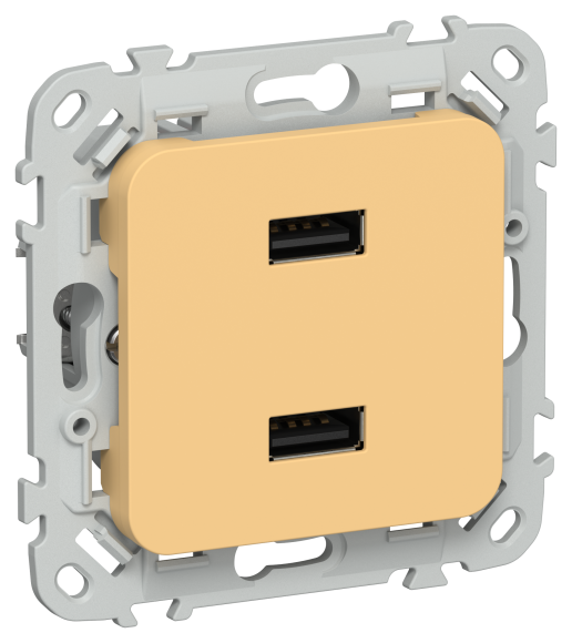 IEK FLITE Розетка USB A+A 3,1А РЮ-2-ФлЗ золотарник IEK, FI-U21-D31-K90