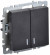IEK BRITE Выключатель 2-клавишный с индикацией 10А ВС10-2-1-БрЧ черный , BR-V20-1-10-K02