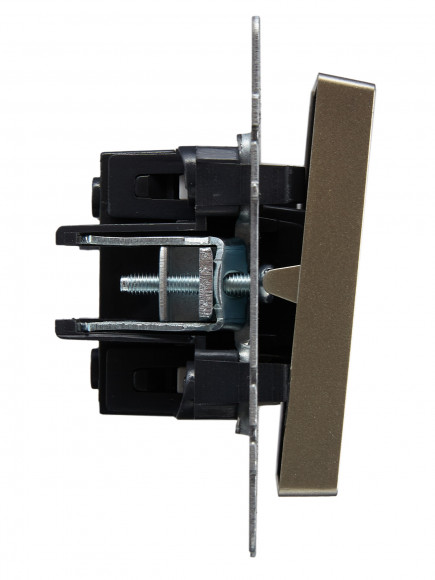 IEK BRITE Выключатель 2-клавишный с индикацией 10А ВС10-2-1-БрШ шампань , BR-V20-1-10-K37