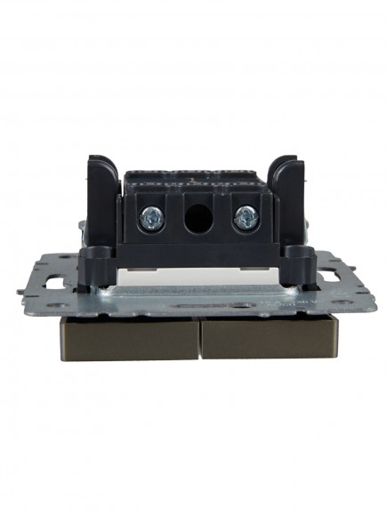 IEK BRITE Выключатель 2-клавишный с индикацией 10А ВС10-2-1-БрШ шампань , BR-V20-1-10-K37