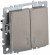 IEK BRITE Выключатель 2-клавишный с индикацией 10А ВС10-2-1-БрШ шампань , BR-V20-1-10-K37
