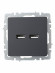 IEK BRITE Розетка USB A+A 5В 3,1А РЮ10-1-БрГ графит IEK, BR-U21-D31-K53