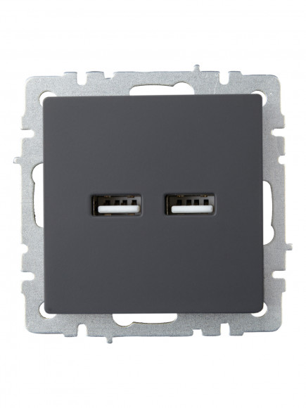 IEK BRITE Розетка USB A+A 5В 3,1А РЮ10-1-БрГ графит IEK, BR-U21-D31-K53