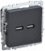 IEK BRITE Розетка USB A+A 5В 3,1А РЮ10-1-БрГ графит IEK, BR-U21-D31-K53