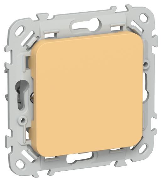 IEK FLITE Заглушка с суппортом ЗГ-ФлЗ золотарник IEK, FI-PL10-K90