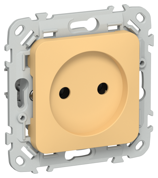 IEK FLITE Розетка без заземления без защитных шторок 10А РС01-0-ФлЗ золотарник IEK, FI-R10-10-K90