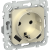 FLITE Розетка 1-местная с заземлением с защитными шторками 16А с USB A+C 20Вт безвинтовое крепление РСЮшс11-1-ФлШ шампань IEK, FI-R14-16-1-U22-020-K37