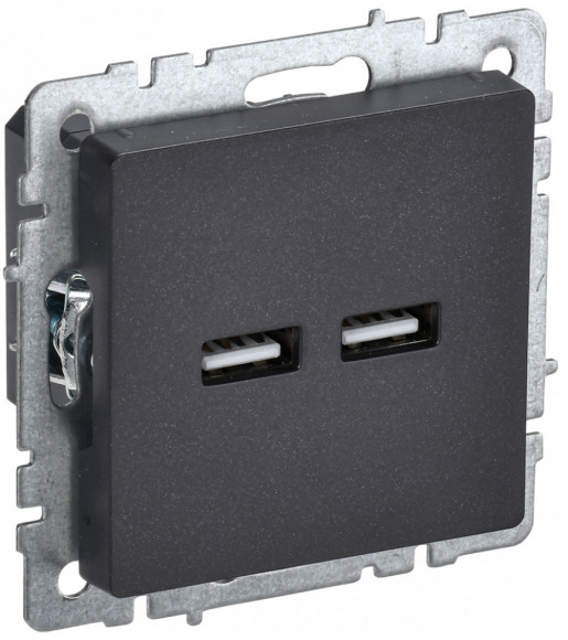 IEK BRITE Розетка USB A+A 5В 3,1А РЮ10-1-БрЧ черный IEK, BR-U21-D31-K02