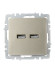 IEK BRITE Розетка USB A+A 5В 3,1А РЮ10-1-БрШ шампань IEK, BR-U21-D31-K37