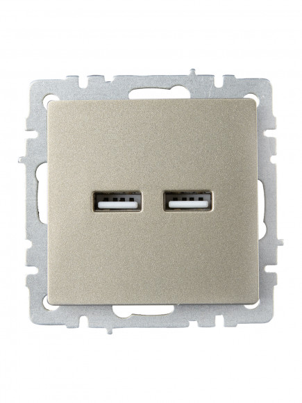IEK BRITE Розетка USB A+A 5В 3,1А РЮ10-1-БрШ шампань IEK, BR-U21-D31-K37