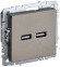 IEK BRITE Розетка USB A+A 5В 3,1А РЮ10-1-БрШ шампань IEK, BR-U21-D31-K37