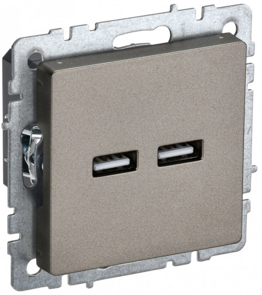 IEK BRITE Розетка USB A+A 5В 3,1А РЮ10-1-БрШ шампань IEK, BR-U21-D31-K37