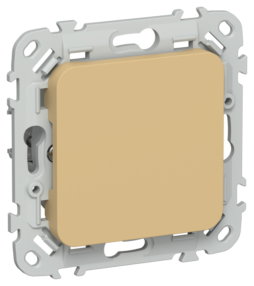 IEK FLITE Заглушка с суппортом ЗГ-ФлШм шамуа IEK, FI-PL10-K89