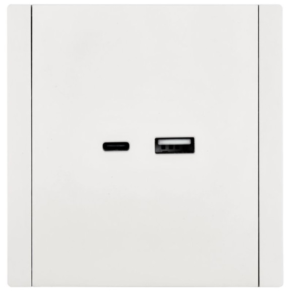 IEK FORTE&PIANO Розетка USB A+C 18Вт FP251 белый , FP-U22-018-K01 IEK FORTE&PIANO Розетка USB A+C 18Вт FP251 белый , FP-U22-018-K01
