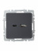 IEK BRITE Розетка USB A+C 18Вт РЮ11-1-БрГ графит IEK, BR-U22-018-K53