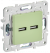 IEK SKANDY Розетка USB A+A 3,1А SK-R15G мятный , SK-U21-D31-K06
