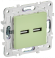 IEK SKANDY Розетка USB A+A 3,1А SK-R15G мятный , SK-U21-D31-K06 IEK SKANDY Розетка USB A+A 3,1А SK-R15G мятный , SK-U21-D31-K06