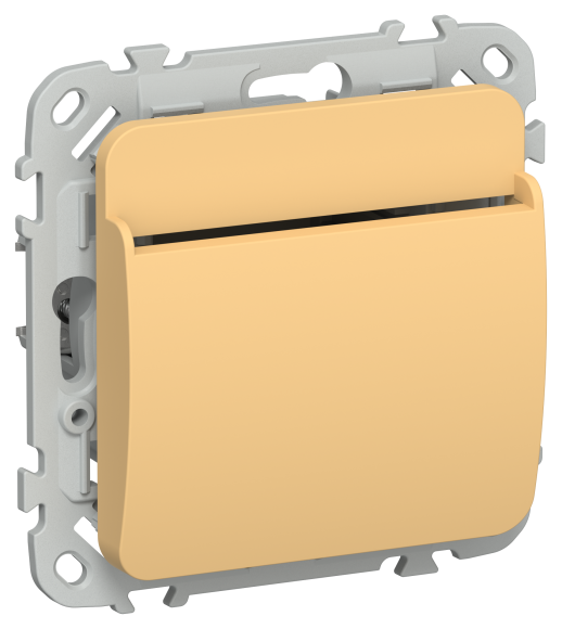 IEK FLITE Выключатель карточный 30А ВК-0-ФлЗ золотарник IEK, FI-V11-0-10-K90