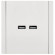IEK FORTE&PIANO Розетка USB A+A 3,1А FP249 белый , FP-U21-D31-K01 IEK FORTE&PIANO Розетка USB A+A 3,1А FP249 белый , FP-U21-D31-K01