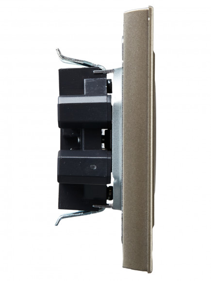 IEK BRITE Розетка 2-местная без заземления с защитными шторками 10А в сборе РСш12-2-БрШ шампань , BR-R23-10-K37-F