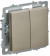 IEK BRITE Выключатель 2-клавишный перекрестный 10А ВС10-2-3-БрШ шампань , BR-V23-0-10-K37