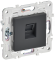 IEK SKANDY Розетка компьютерная RJ45 кат.5E SK-K01T титан , SK-K10-1-K48
