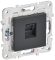 IEK SKANDY Розетка компьютерная RJ45 кат.5E SK-K01T титан , SK-K10-1-K48