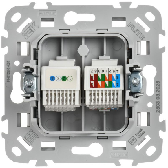 IEK FLITE Розетка 2-местная RJ45/RJ11 категория 5Е/3 UTP РКТ5е/3-2-0-ФлБ белый IEK, FI-KT22-1-K01