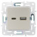 IEK SKANDY Розетка USB A+C 18Вт SK-R13Sh шампань , SK-U22-018-K37