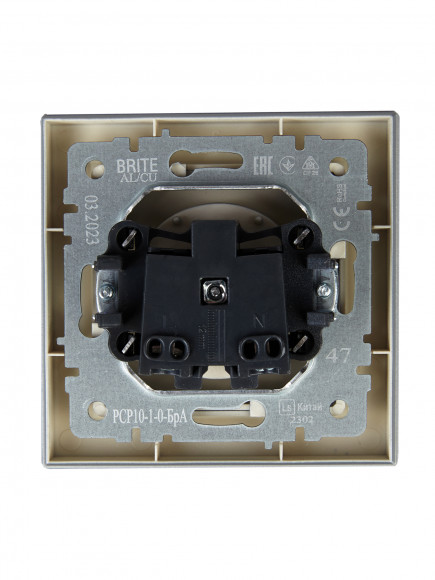 IEK BRITE Розетка 1-местная без заземления без защитных шторок 10А в сб. РСР10-1-0-БрА алюминий , BR-R10-10-K47-F