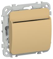 FLITE Выключатель карточный 30А ВК-0-ФлШм шамуа IEK, FI-V11-0-10-K89